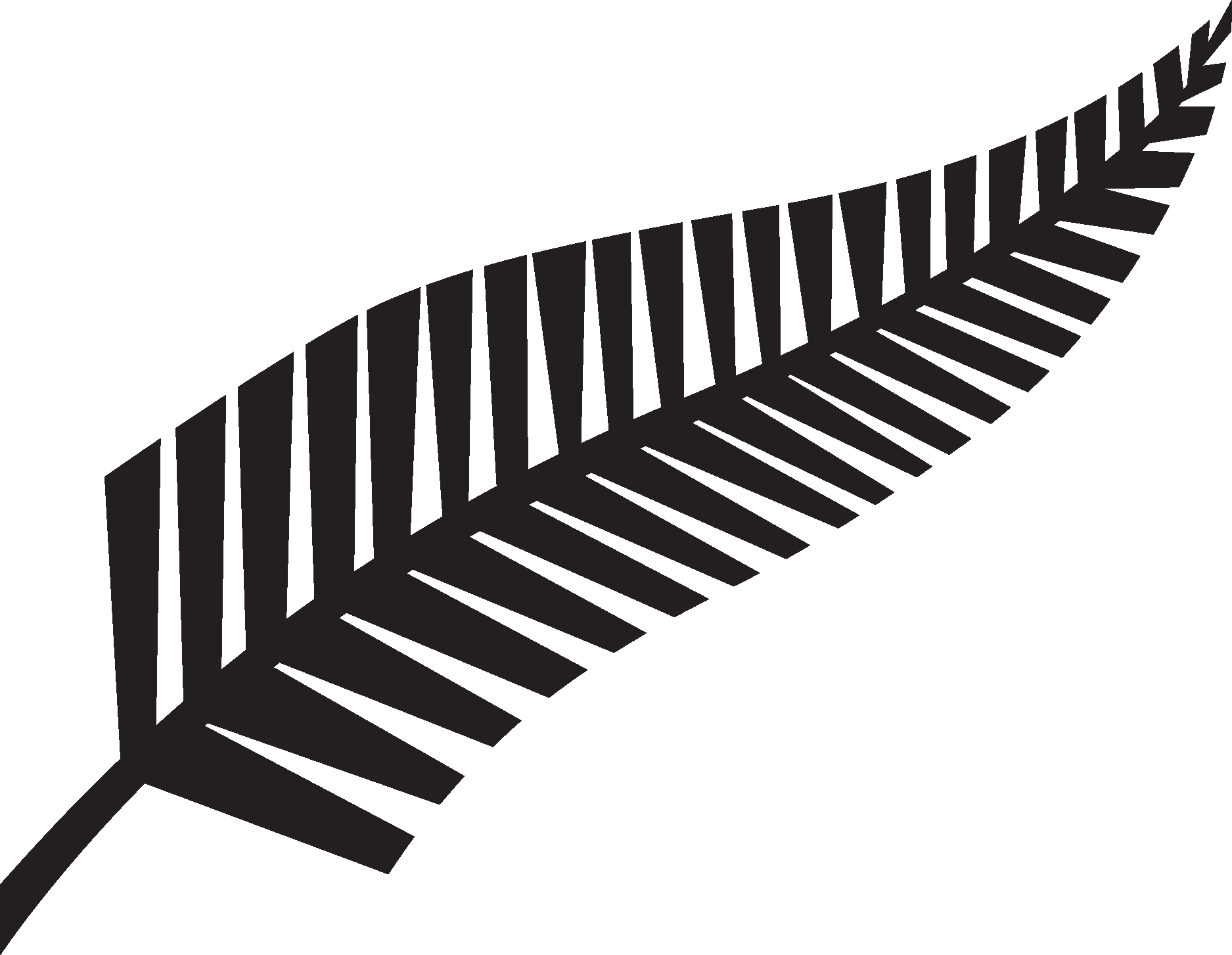 New Zealand Rugby Union Fern Logo Vector Logo